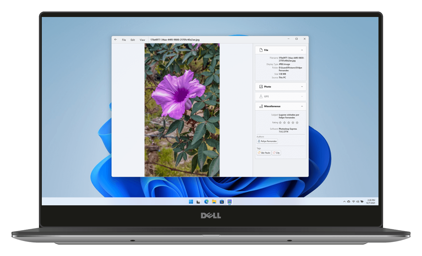 Visum Photo Viewer Screenshot
